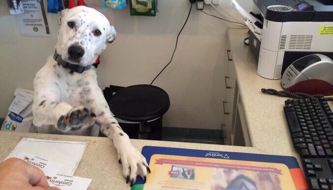 CONT3NTKINGS's tweet image. If you keep raising your voice sir I’m going to have to ask you to leave