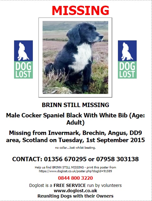 #BRINN  Missing 01/09/2015 #Ivermark #Brechin #Angus #DD9 area #Scotland   #findbrinn

#MountKeen #Invermark #Lochlee #easterburn #QueensWell #GlenMark #GlenEsk #Edzell #GlenTanar #Balmoral #Ballater

@rosiedoc666 @MissingPetsGB @veryluckypugs @KarenFi51820768 @beautys_legacy