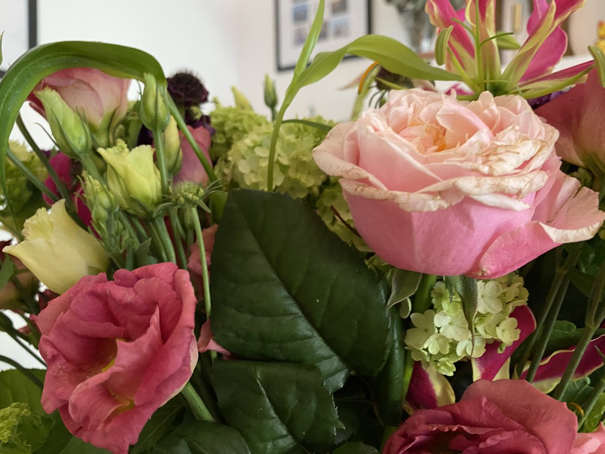 KateLifeDaily's tweet image. {AD} I don’t think I’ve ever managed to get a bunch of flowers to look so good! Thank you #MoonpigVirtualEvent