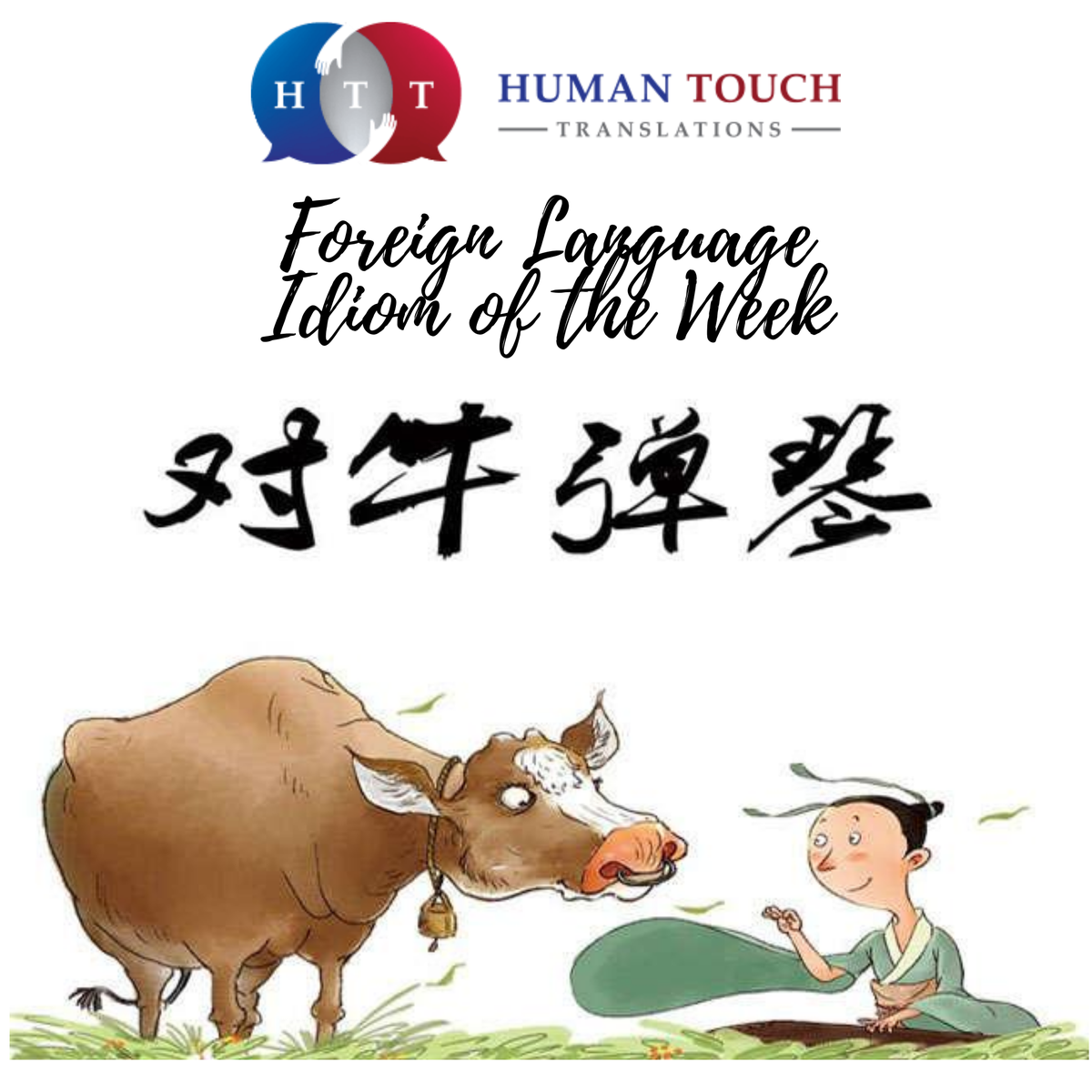 Human Touch Trans tweet media