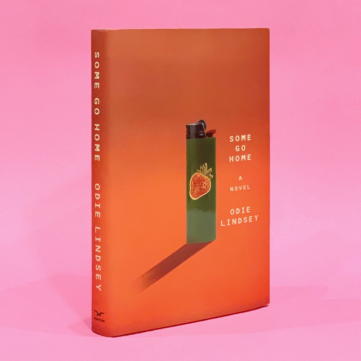 sarahmay_w's tweet photo. SOME GO HOME by Odie Lindsey is here 🍓 Published by @wwnorton
.
.
#somegohome #odielindsey #handmade #makinstuff #killcomputers #sarahmaywilkinson #bookcover #bookcoverdesign #design #coverdesign #shedesignsbooks #ladieswhodesign #book #graphicdesigner #typography #collage https://t.co/U0vmRF8igv