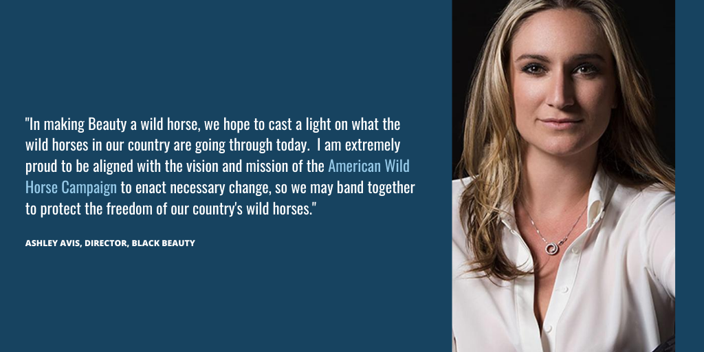 FreeWildHorses's tweet photo. 2021 is going to be a big year for wild horses in the spotlight! @disneyplus has just announced that it has picked up the new adaptation of Black Beauty who will be a #wildhorse. We are so grateful to the filmmakers for involving AWHC in the project. https://t.co/l8mK5hrYhM https://t.co/Ay2BkSfoYD