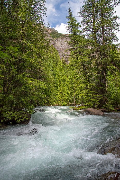 joectabb's tweet photo. New artwork for sale! - "Avalanche Creek" - https://t.co/Vr3hjqvXnj @fineartamerica https://t.co/HbbJHmDZKm
