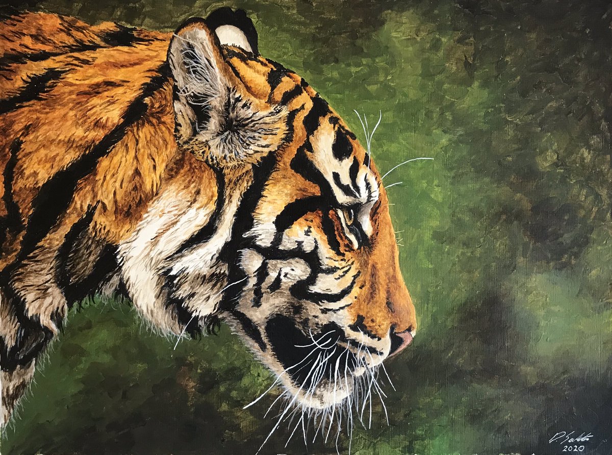 Davidjsalter's tweet photo. Seeing as it's #InternationalTigerDay2020 , here are a few of the magnificent beasts....
All ref pics by Paul Fine, a fabulous photographer of tigers https://t.co/6UmmgnjSJS