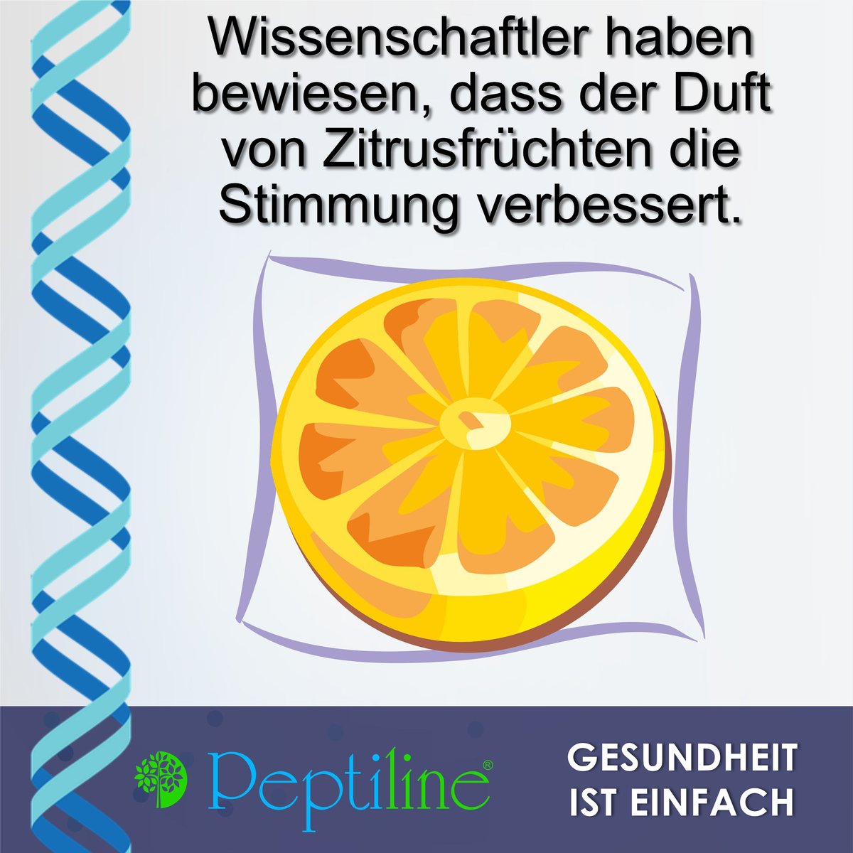 peptiline's tweet photo. Jeder weiß, dass sich verschiedene Geschmacksrichtungen auf unterschiedliche Weise auf das Wohlbefinden eines Menschen auswirken können...

Willst du mehr Informationen? ⠀⠀⠀⠀⠀⠀⠀⠀⠀
Dann folge uns auf Instagram: @peptiline_official⠀⠀⠀⠀

Oder: https://t.co/sxHZF8S2Ss https://t.co/O4eIuao30M