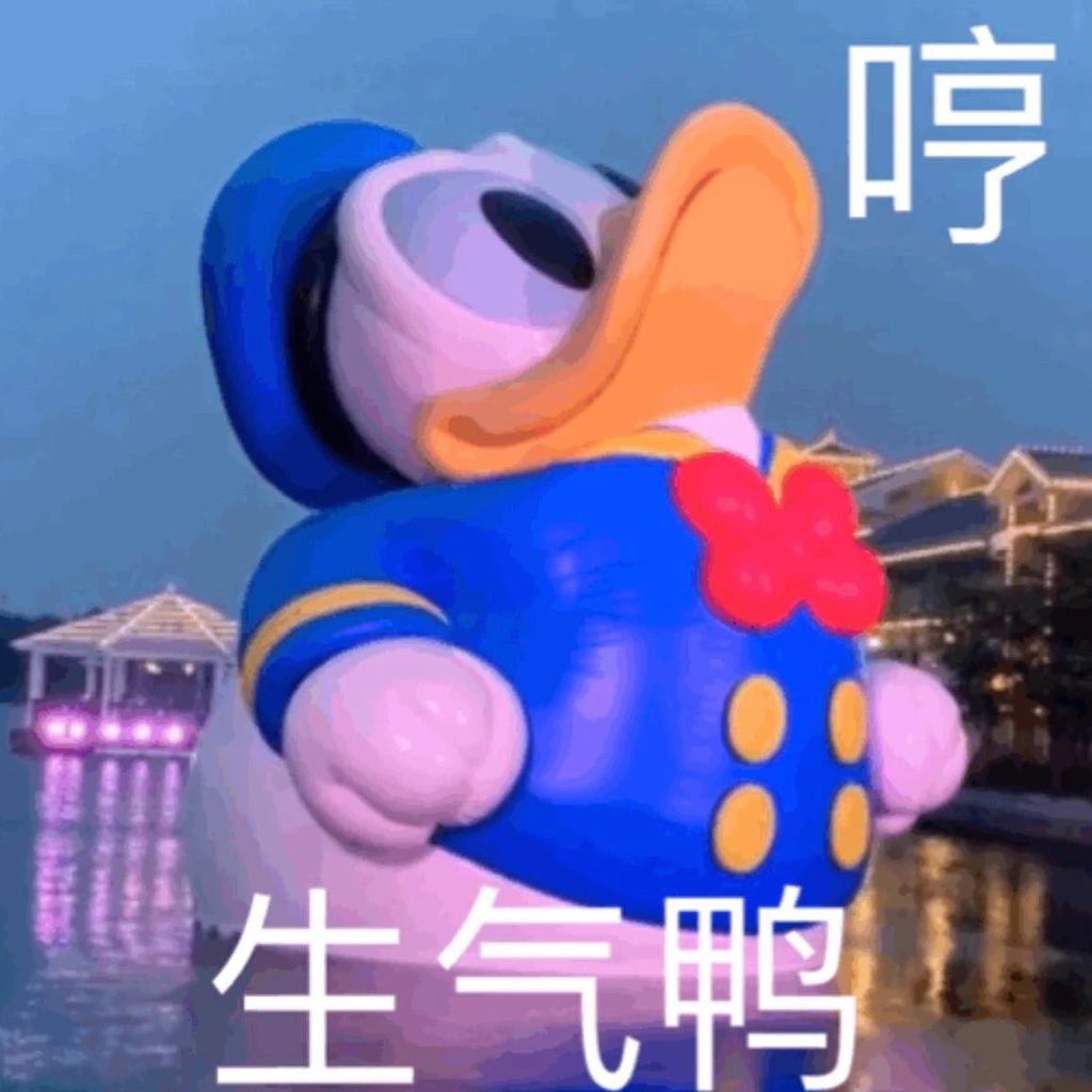 六点要起床去机场
五点就醒了
撸了快一个小时的猫
猫都受不了了
约好了车又不能改订单提前粗发
才发现自己又是掐点的安排
累了