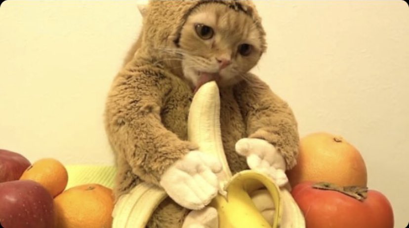 I would like to give  @bambixcriss credit for the inspiration, this one’s for you bb