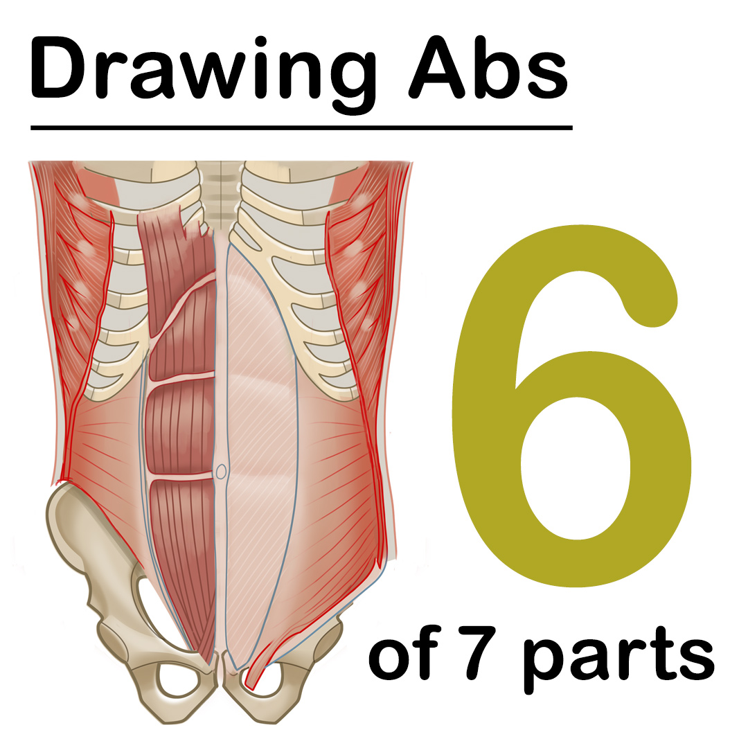 Masters of Anatomy tweet media