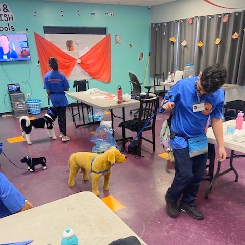 K9YouthAlliance's tweet photo. The K9 Youth Alliance Virtual Summer Program is off to a great start! Shoutout to our phenomenal partners @BGCPasadena, @WagsandWalks, and @SCGoldenRescue for helping us continue our mission to enrich the lives of under-resourced youth and homeless dogs 👧🏽💙🐶 #nonprofit https://t.co/GP9mx2BFXQ