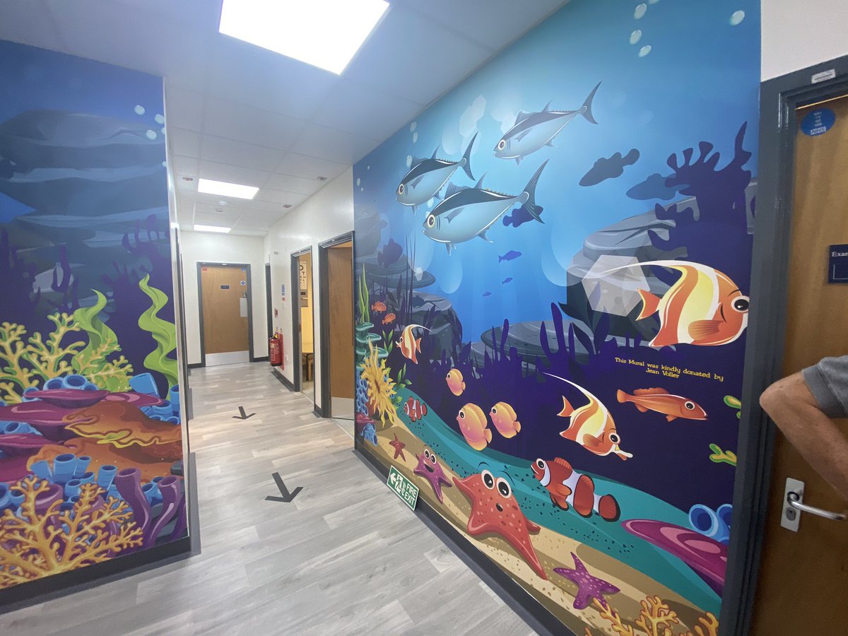 wigstonsigns's tweet photo. Some aquatic themed adhesive wallpaper supplied and fitted for the Leicester Royal Infirmary by @wigstonsigns #wallpaper #nhs #water #ocean #hospital #uplift https://t.co/ED2qDc3Lvh