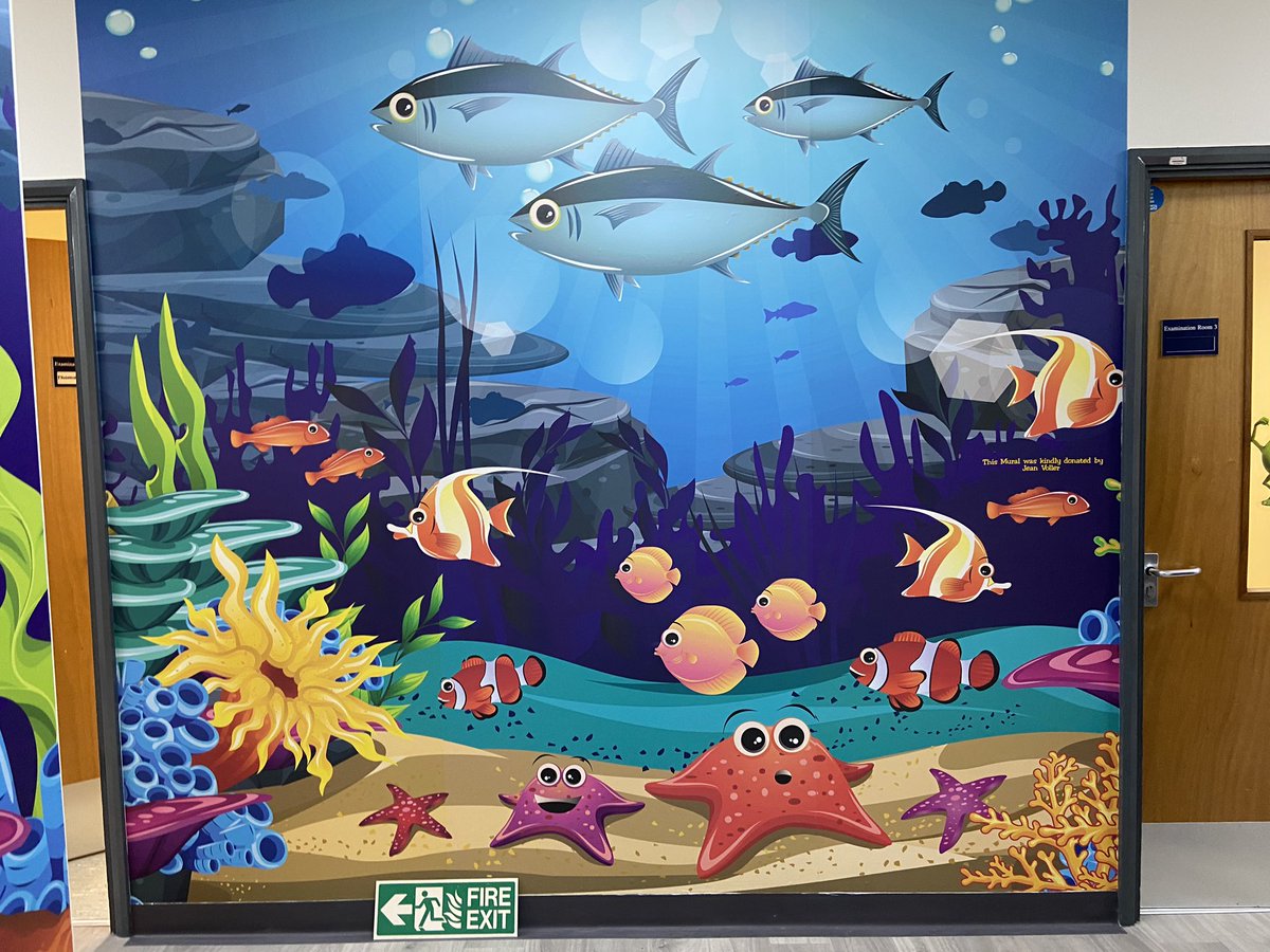 wigstonsigns's tweet photo. Some aquatic themed adhesive wallpaper supplied and fitted for the Leicester Royal Infirmary by @wigstonsigns #wallpaper #nhs #water #ocean #hospital #uplift https://t.co/ED2qDc3Lvh
