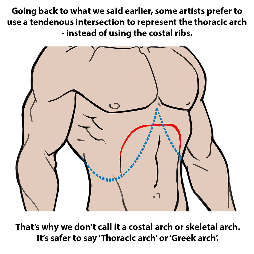 Masters of Anatomy tweet media