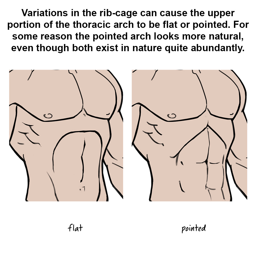 Masters of Anatomy tweet media