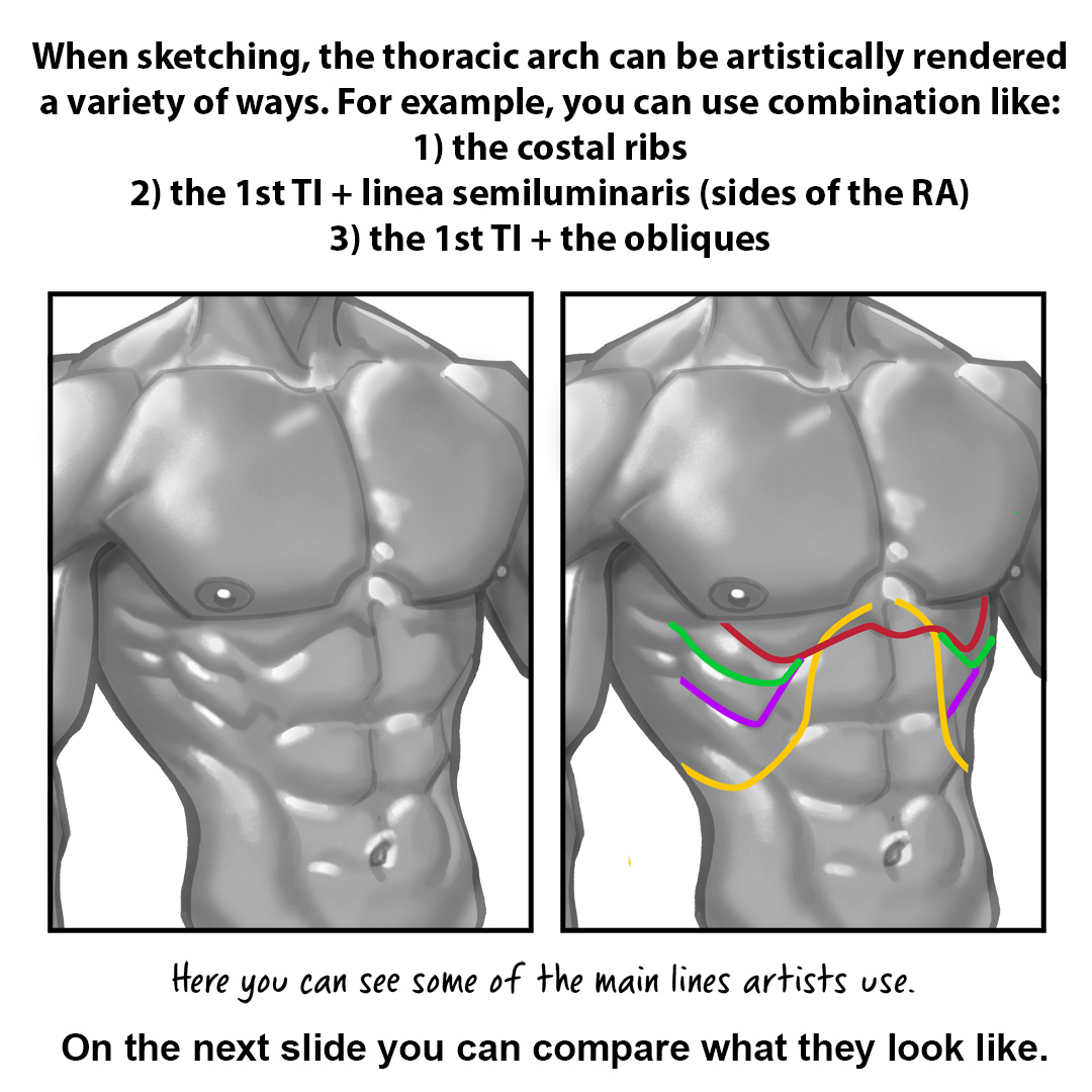 Masters of Anatomy tweet media
