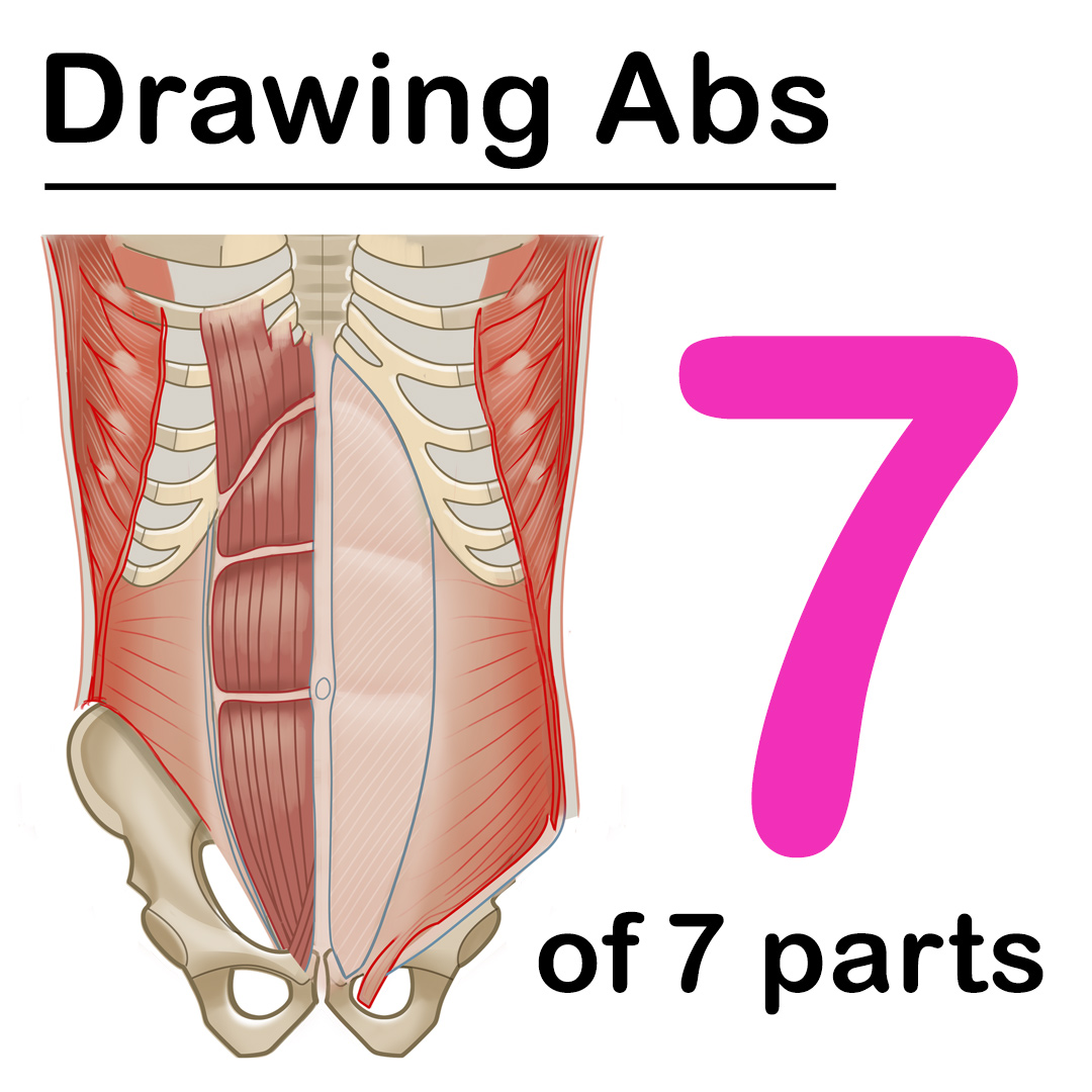Masters of Anatomy tweet media