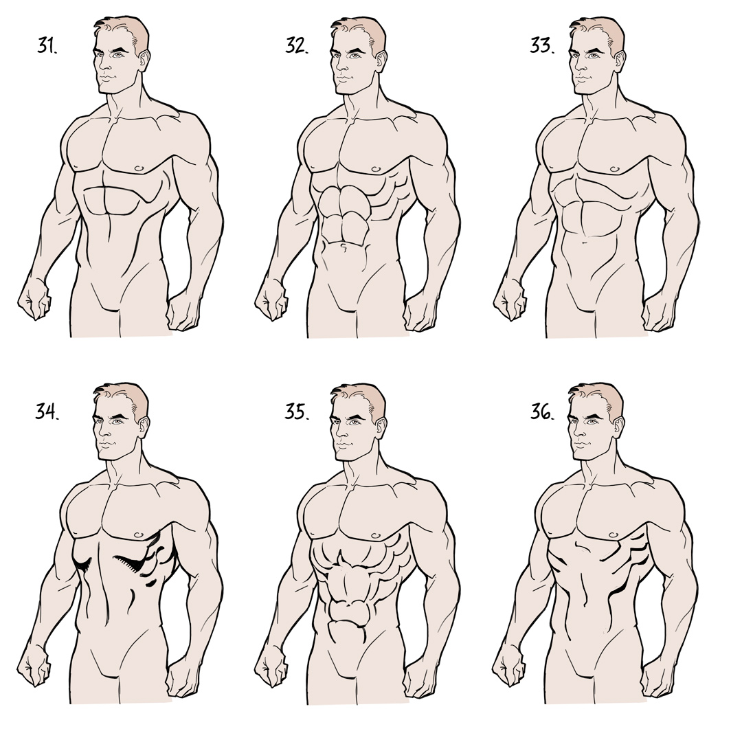 Abs Drawing  Create a Muscular Drawing of Abs