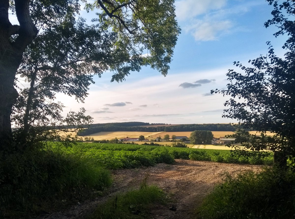 A view over the Wolds, no wonder David Hockney adores this beautiful part of the world. 

#SecretYorkshire #Yorkshire #YorkshireWolds #EastYorkshire #Countryside #Staycation2020 #Wolds #VisitYorkshire

@brandyorkshire <a href="/CycleTheWolds/">Cycling the Yorkshire Wolds</a> <a href="/Yorkshire_Wolds/">Yorkshire Wolds</a> <a href="/VHEY_UK/">Visit Hull & East Yorkshire</a> <a href="/looknorthBBC/">BBC East Yorkshire</a>