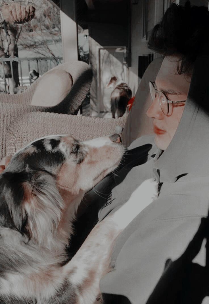 demonescelto's tweet photo. ❛📸 › чour cαmerα roll ıf dαmıen grıncourt ɯαs чour boyfrıend. https://t.co/MOHOWhJBy9
