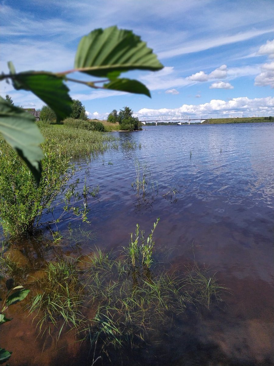 река шексна вологодская область