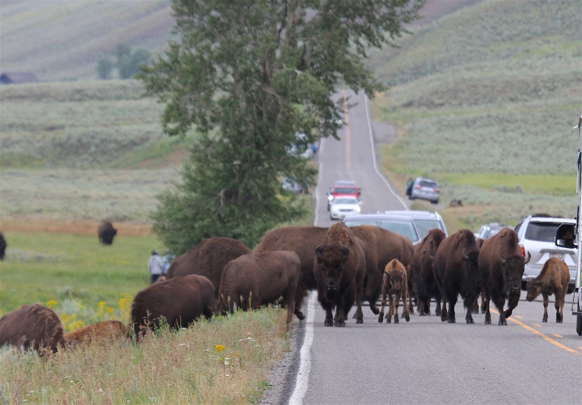 They're not great engineers and don't have the slightest idea about how to judge speeds faster than themselves. So if they're moving at a walk, you need to be moving at a walk.