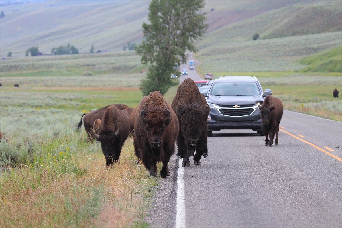 They're not great engineers and don't have the slightest idea about how to judge speeds faster than themselves. So if they're moving at a walk, you need to be moving at a walk.