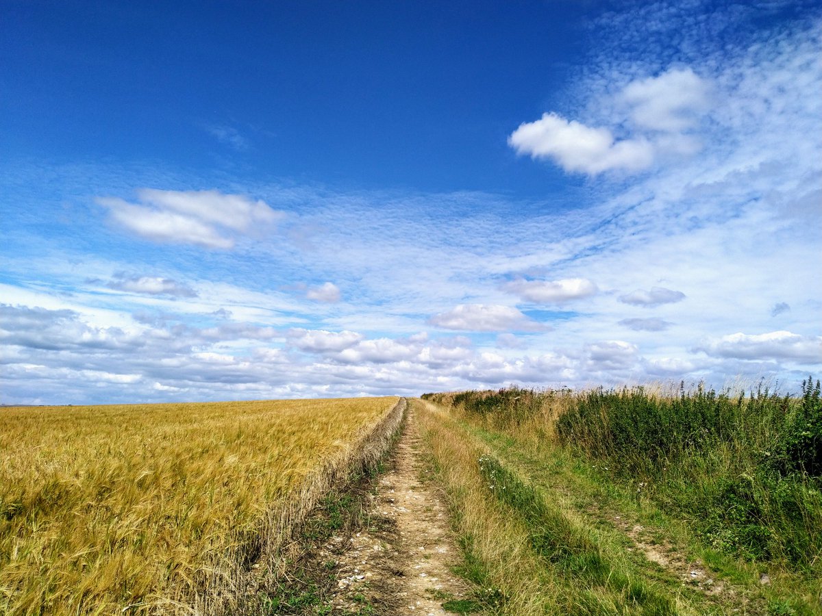 RetroItAint's tweet photo. Walking over Marleycombe Hill #Wiltshire near #Bowerchalke #chalkevalley https://t.co/0qihbTNusV