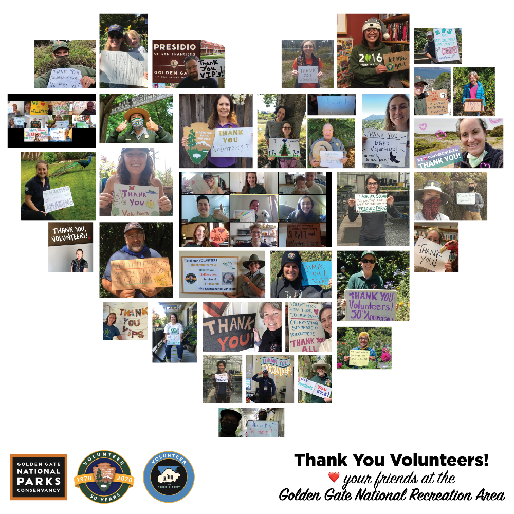 GoldenGateNPS's tweet photo. Did you know? The Volunteer-in-Parks Program was established 50 years ago, today! 🥳
At the #GGNRA we have over 20,000 volunteers to be thankful for. Thank you for 50 years, & here's to many more!
#VIP50 #CheersToVolunteers #npsvolunteer #FindYourPark https://t.co/CWMpjk3Unh