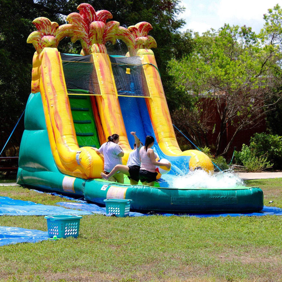 Seton Home tweet media