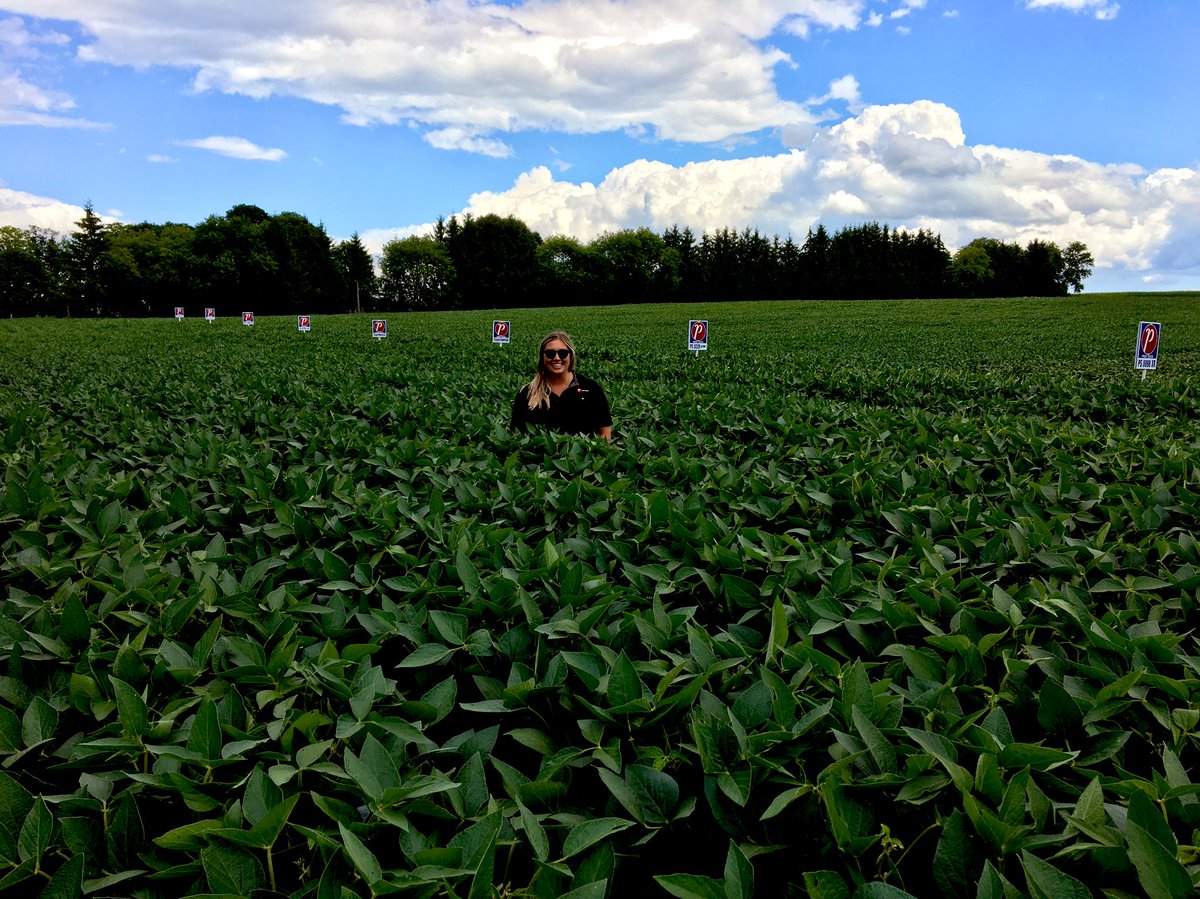 Well every year I try to pick the plot that will have the largest yield I think I just found it <a href="/LockieFarms/">Lockie Farms</a> - fall will tell. Have a look at PS0779XRN if your are by the elevator