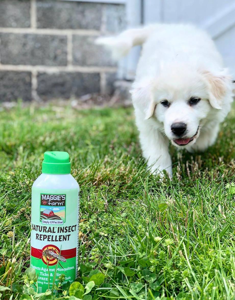 MaggiesFarm_IPM's tweet photo. We’re here to keep those outdoor moments free of bugs & worry. You won’t find harmful residues or DEET in this spray! Did we mention it may also be used on your furry friends? Click the link for details! https://t.co/uiAIgEiFFa 📸: @momsgoodeats #maggiesfarm #simplyeffective https://t.co/BSJ2UB5RFu