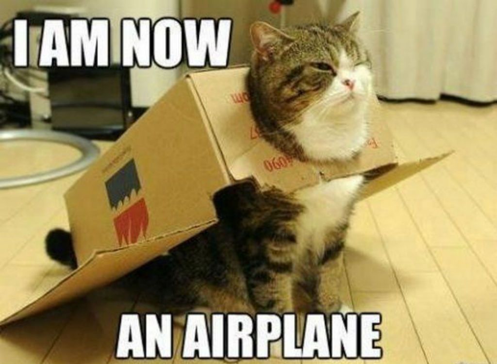 huntsvillewrite's tweet photo. ***Humorous Meme Wednesday***
I do not know who made the meme below but I think it is a great meme.
#HumorousMemeWednesday #HumorousCatMeme #CatMeme #IAmNowAnAirplane #AuthorUnknown https://t.co/LlA6pidkbO