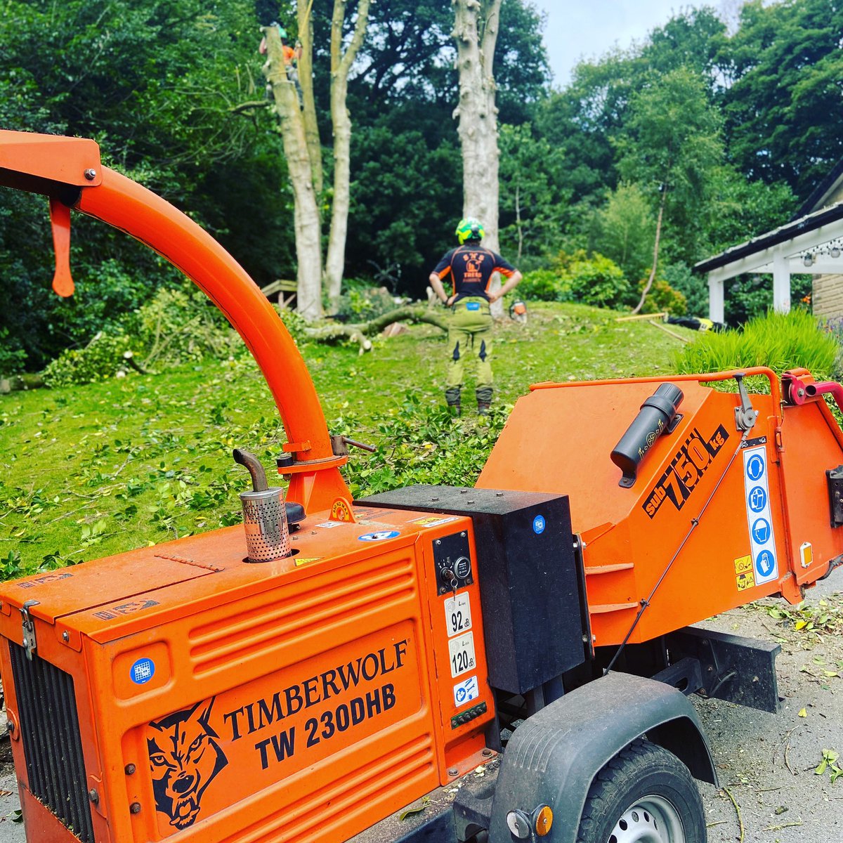snstrees's tweet photo. Couple of large holly’s to take down in Whaley Bridge for a regular customer this morning with the wolf to chip and recycle the waste. #teamsnstrees #snstrees #brothersinarb #whaleybridge @MyTimberwolf @SpectrumPlant #treework #arblife #treelife #timberwolf #wolfatwork https://t.co/fqbvKG7FnH