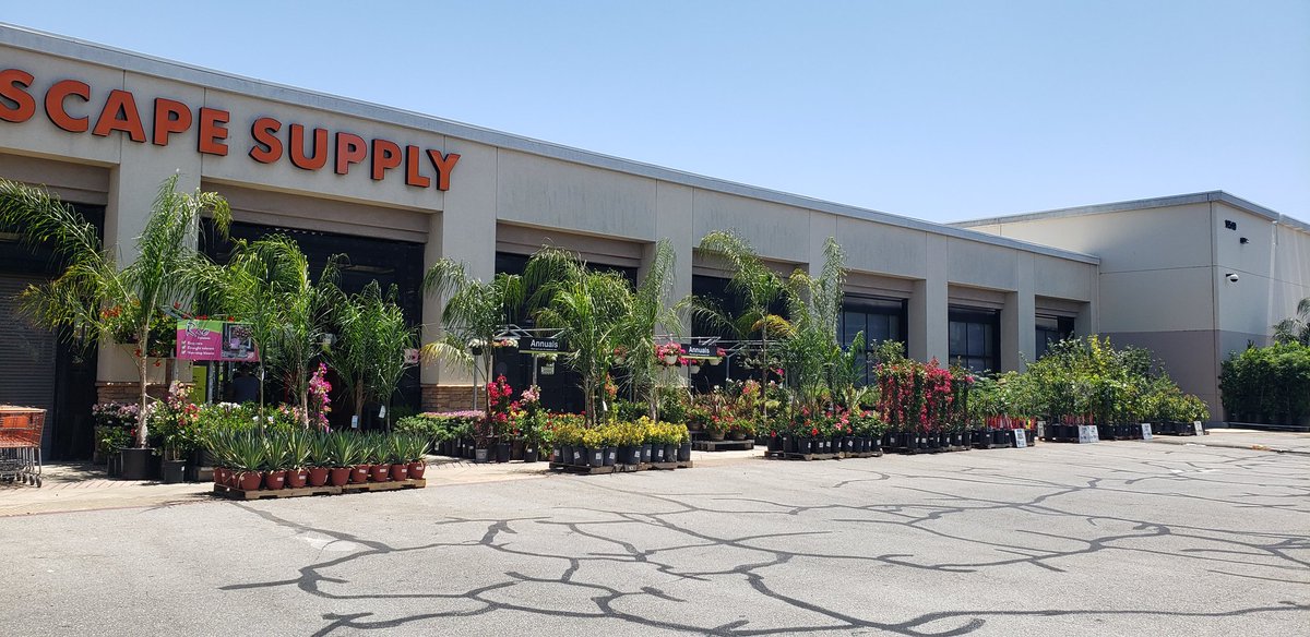 Michael Serrano tweet media