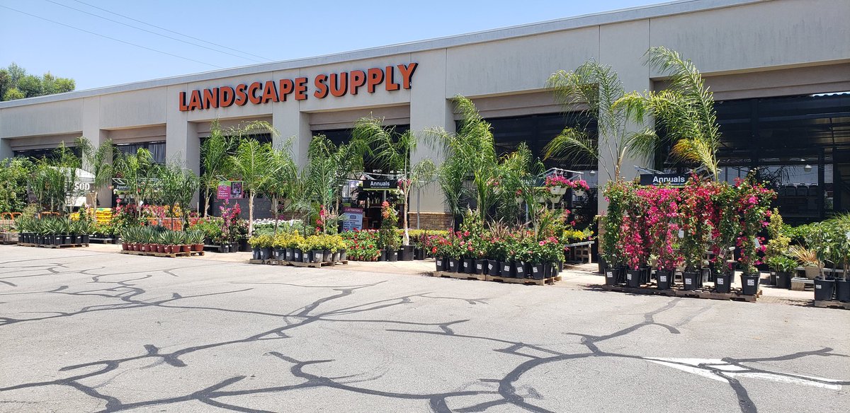 Michael Serrano tweet media