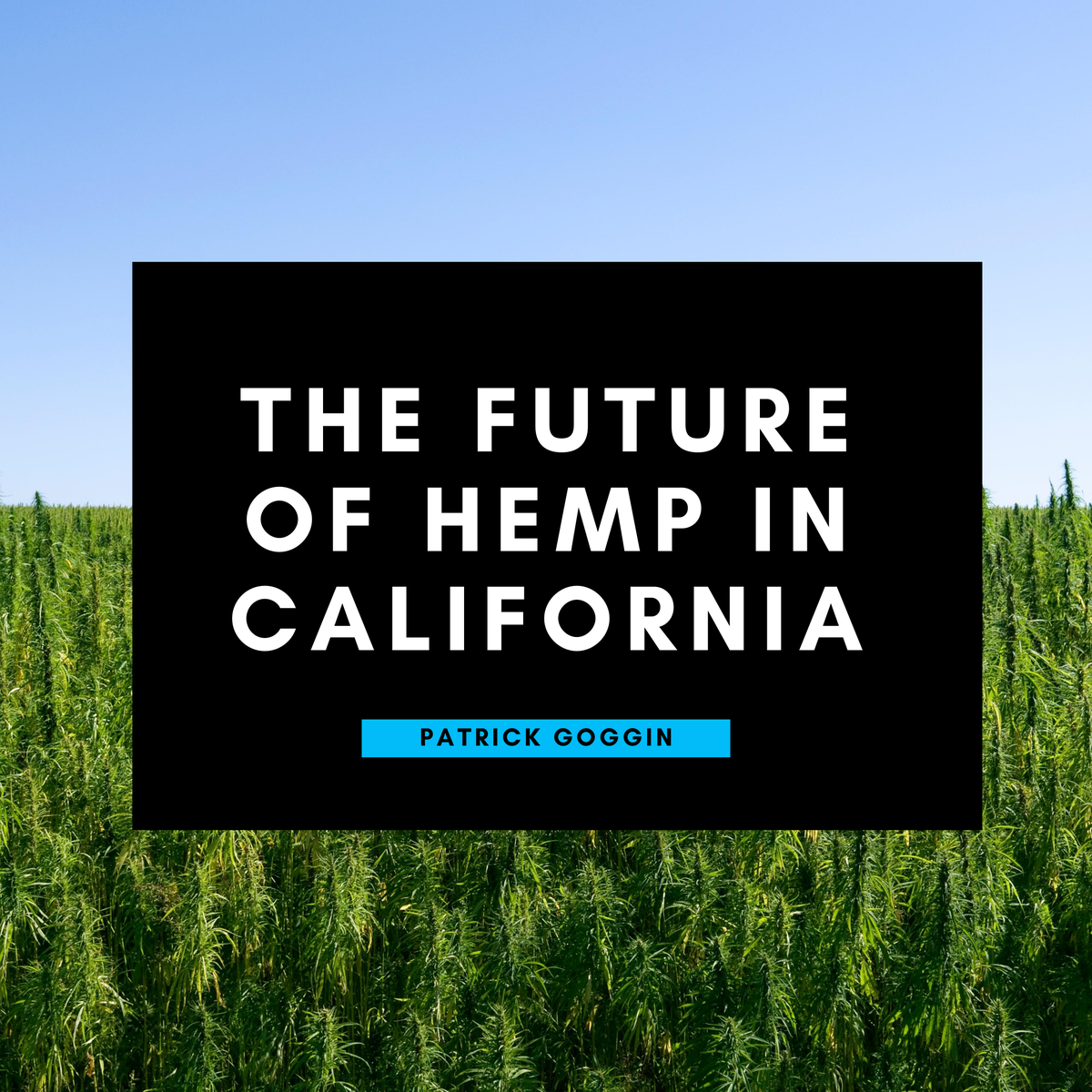 HobanLawGroup's tweet photo. Four months into the great 21st-century pandemic, it is a good time to look at the progress California is making on hemp, the challenges it has faced, and where the hemp roads lead in the golden state. Read more: https://t.co/HJQn10Zcrz

#hemp #california #californiahemp https://t.co/5Ag81vmXN7