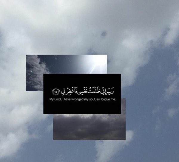 ،، tweet media