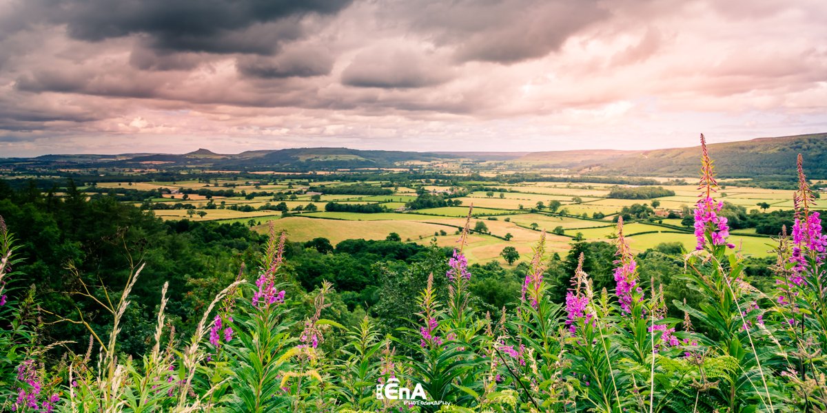 #roseberrytopping 

All images for sale, website use, prints, framed.

DM for details.