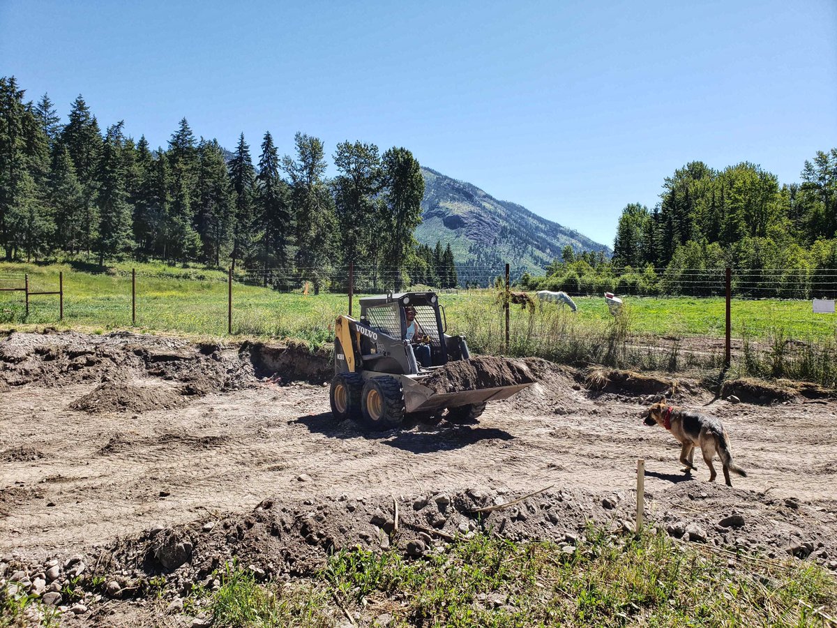 All hands on deck including CEO and CEO doggo for Habitats cultivation expansion. #beautifulbc #shuswaptourism #cannabis