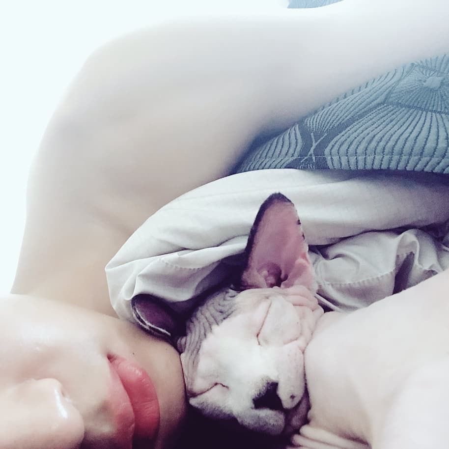 he is the best cat dad in the world like he treats his cats with the utmost love calls them his sons (his words not mine) i’m telling you latte, pudding, cupcake and king are the luckiest felines in the world!