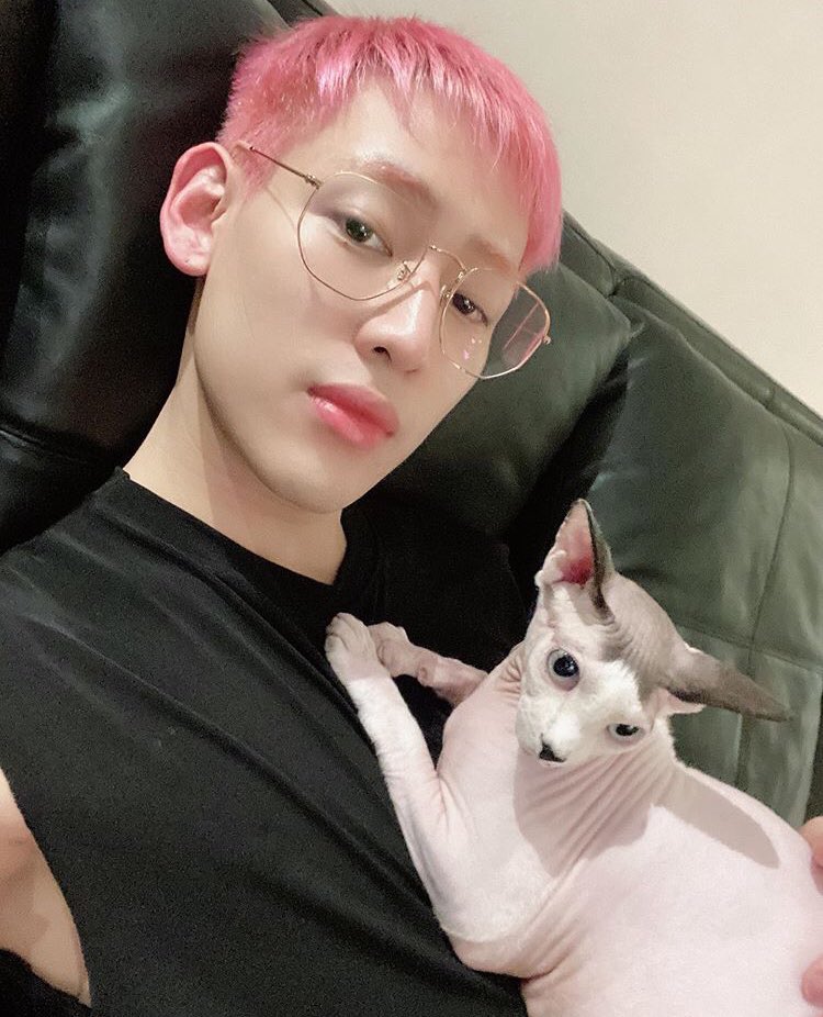 he is the best cat dad in the world like he treats his cats with the utmost love calls them his sons (his words not mine) i’m telling you latte, pudding, cupcake and king are the luckiest felines in the world!