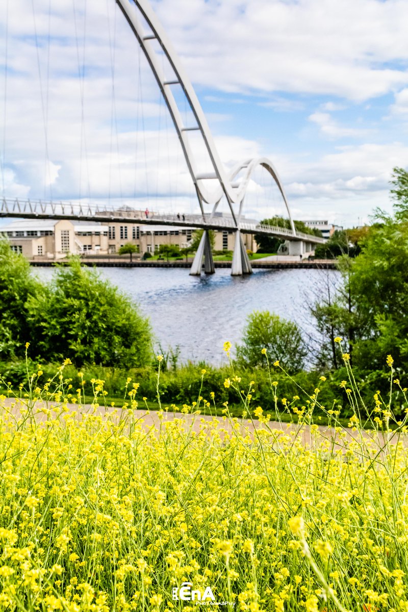 #infinitybridge and the flowers

#ourbeautifulborough