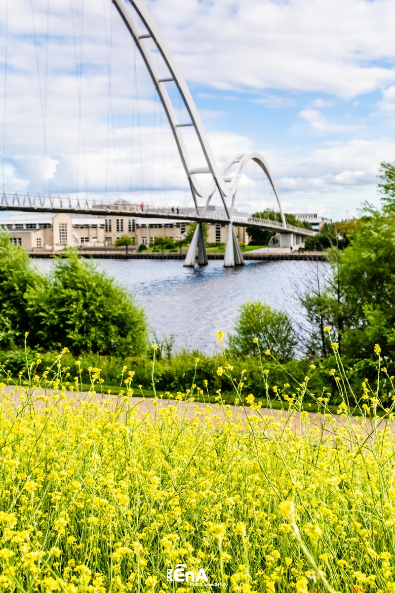 #infinitybridge and the flowers #ourbeautifulborough