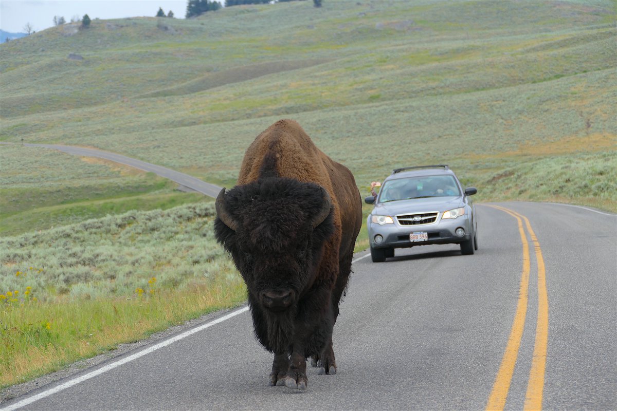 Scenario 2A he's walking your side of the road away from you, doesn't get out of your way, this happens a lot. If no ones coming try the other lane, he likely wanted your side and'll trade you. Roll past slowly like the truck did in the previous once he takes the off lane.