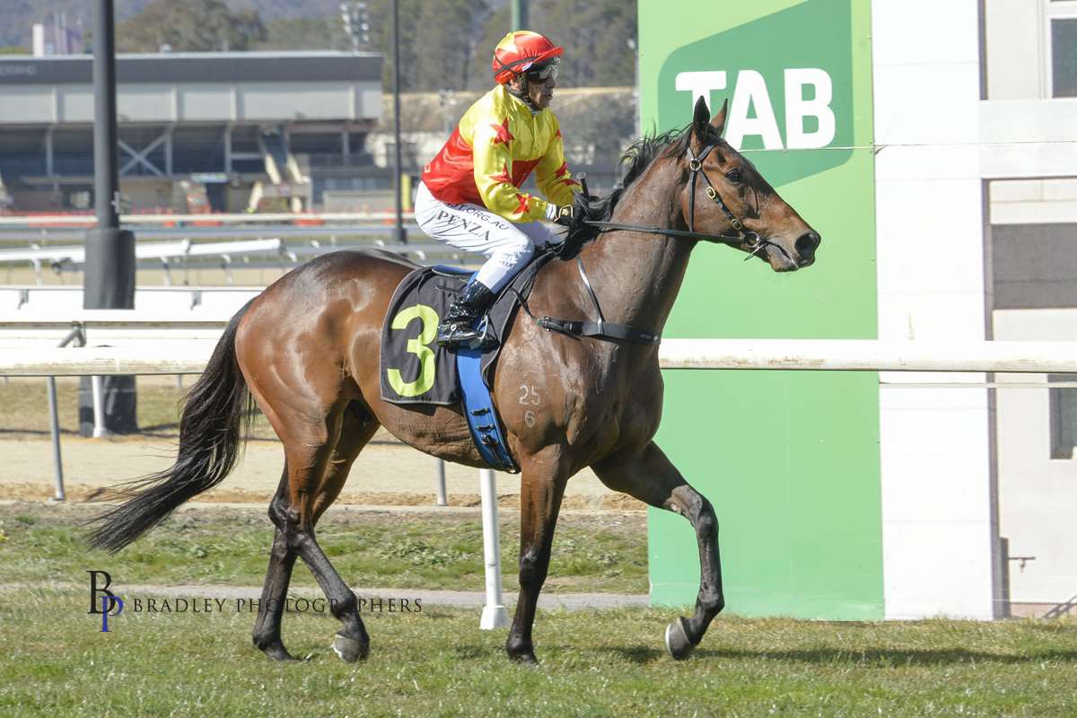 SnowdenRacing1's tweet photo. 7️⃣ winners, one for each day of the week last week! Congrats to all connections and thanks to the team at home for all their hard work 🏆 #requited #generalsoleil #yangarrarose #globalqueen #californiaaugust #smartimage #poeticcharmer https://t.co/5sM9E8iCvR