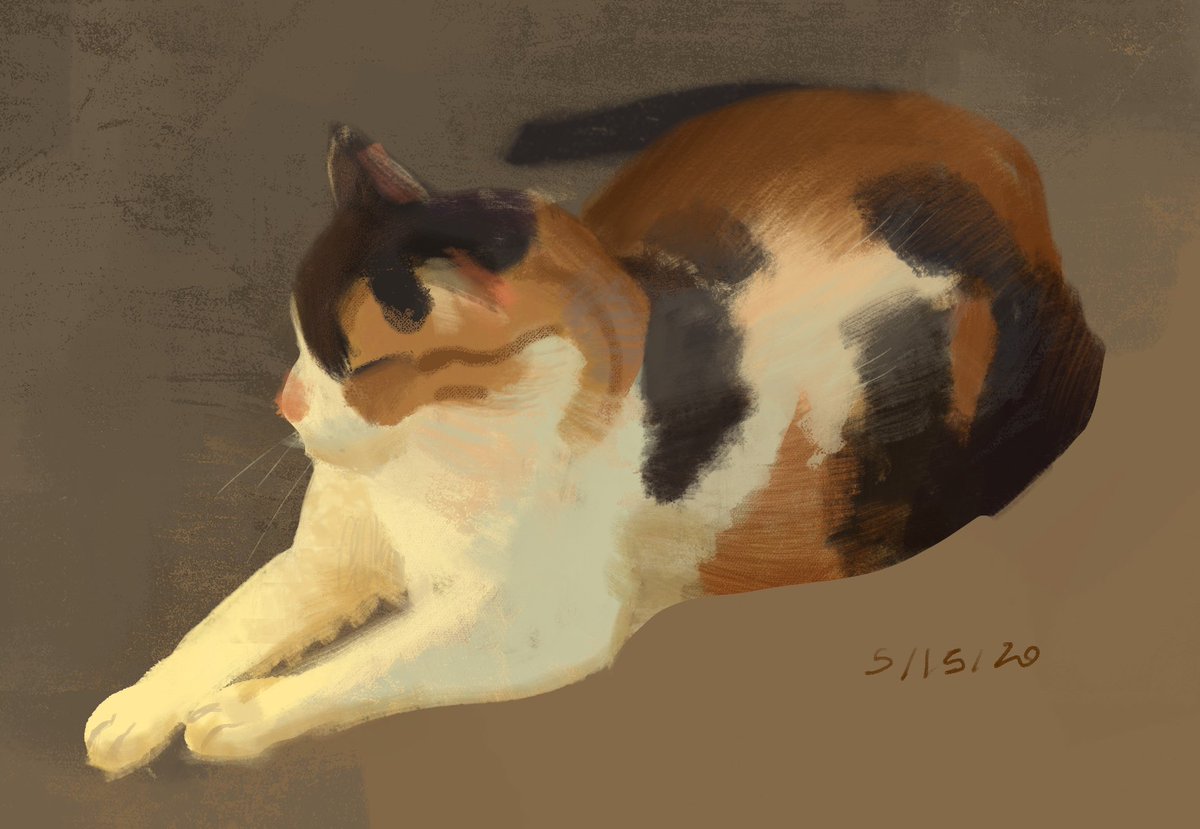 repeccas's tweet photo. Various drawings of my cat https://t.co/f0KbRR369F