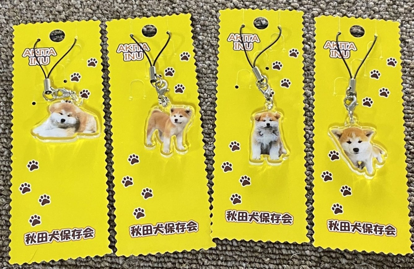 あきほ 秋田犬会館 ストラップ新デザイン届きましたᐠ ᐛ ᐟ T Co Cuim9yyz2j Twitter あきほ 秋田犬会館 ストラップ新デザイン届きましたᐠ ᐛ ᐟ T Co Cuim9yyz2j Twitter