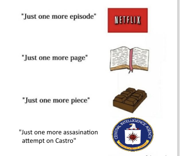 Elizabeth M tweet media