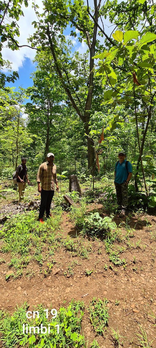 Surat Forest Circle tweet media