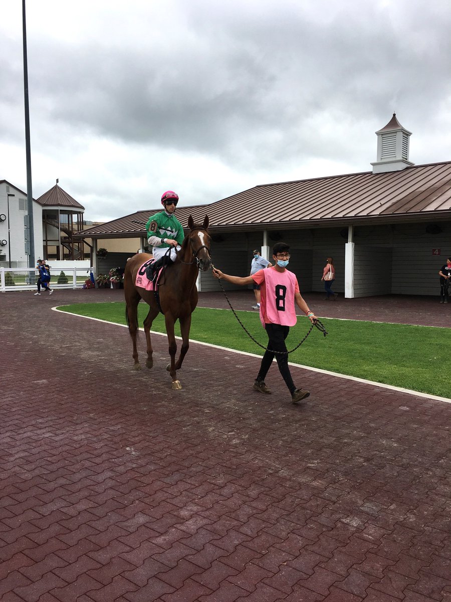 Tammy Knox tweet media