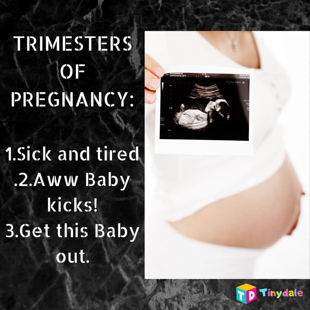 atakkamore's tweet photo. @mytinydale #tinydale #parenting #pregnancy #StayBalanced #trimesters https://t.co/MuqutbzBo8